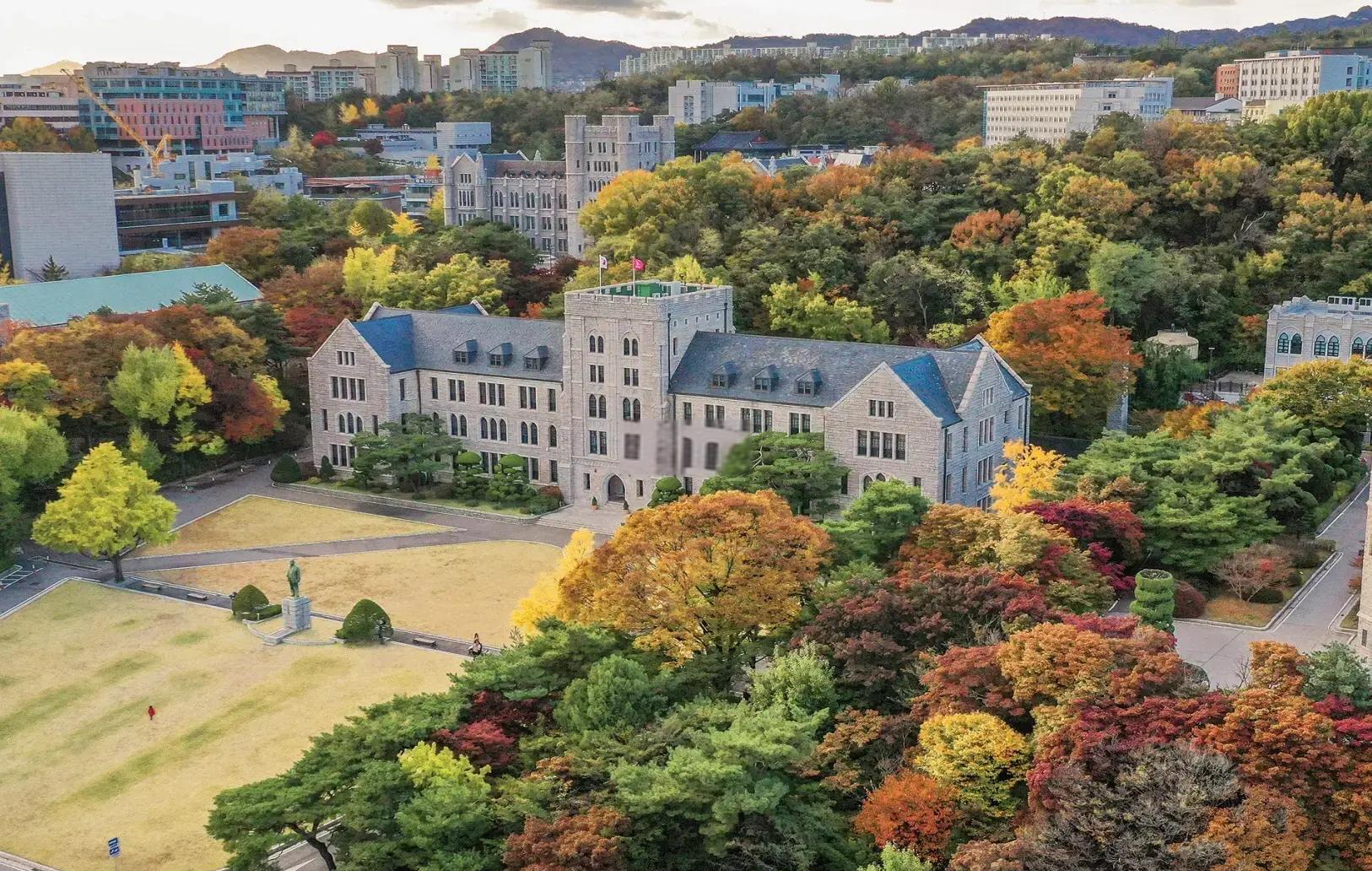 高丽大学