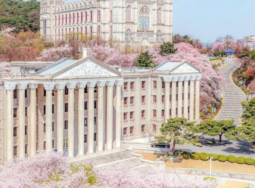 庆熙大学